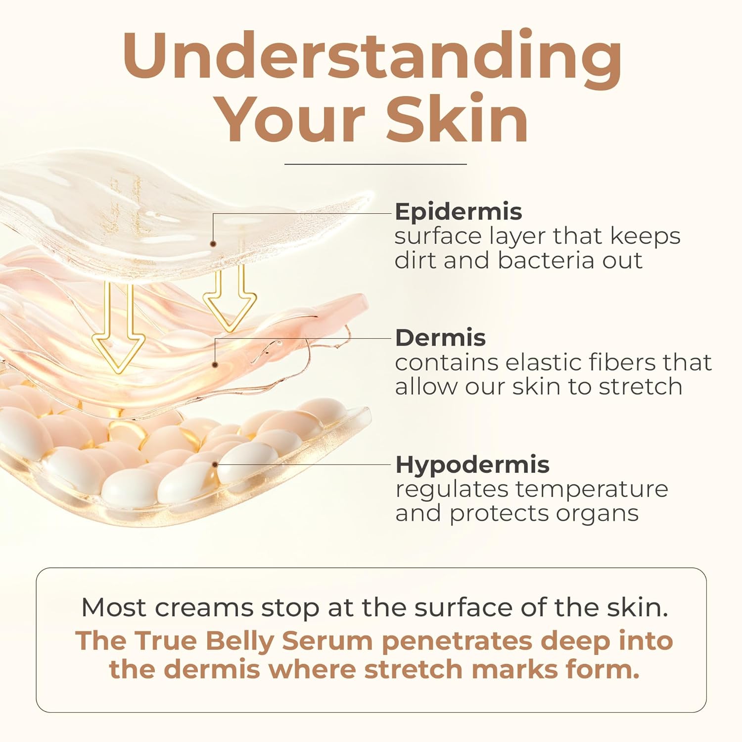 Sheep True Belly Serum